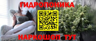кокс Нальчик