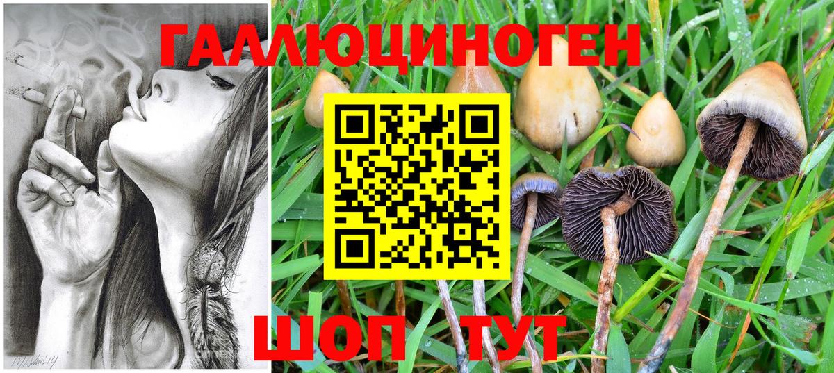 Галлюциногенные грибы ЛСД Сухой Лог